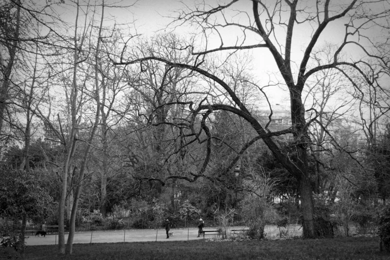 Cyrille_Plateau_05