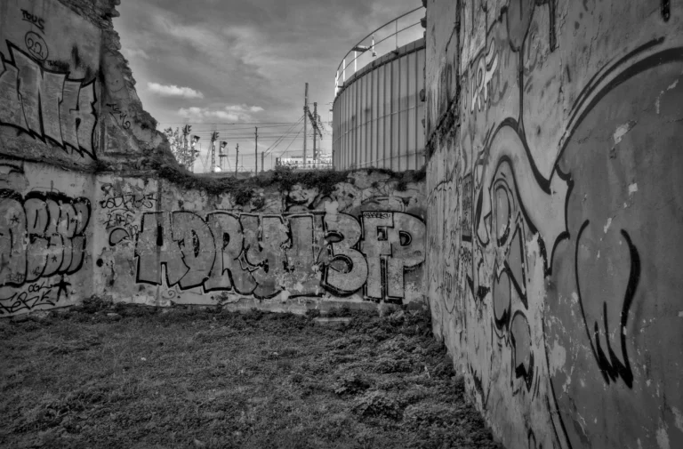Frédéric_G-Brassens_08