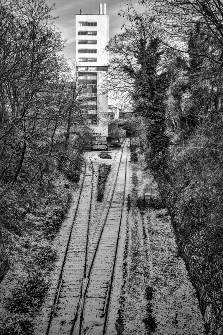 Frédéric_G-Brassens_11