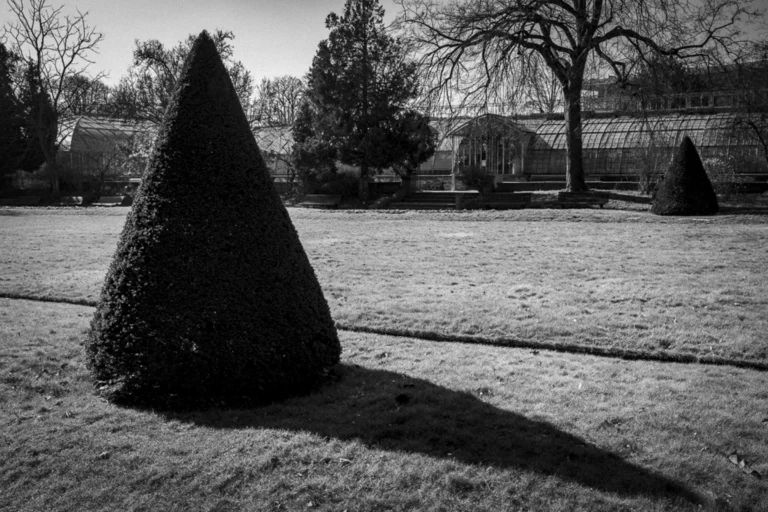 Taunia_Bois du Boulogne_02