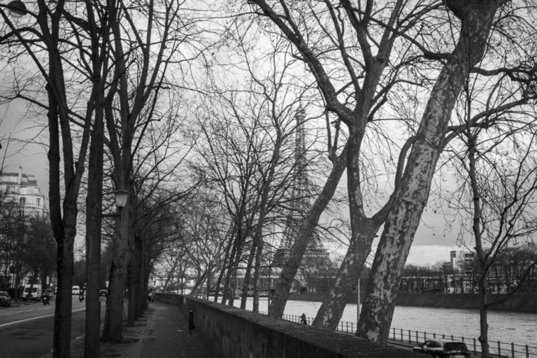 Taunia_Emériau-Zola_05