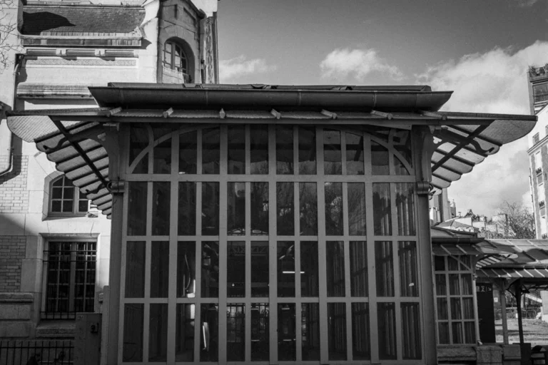 Taunia_Muette Sud_06