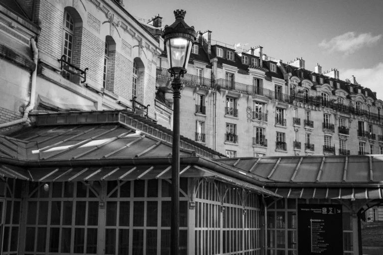 Taunia_Muette Sud_07