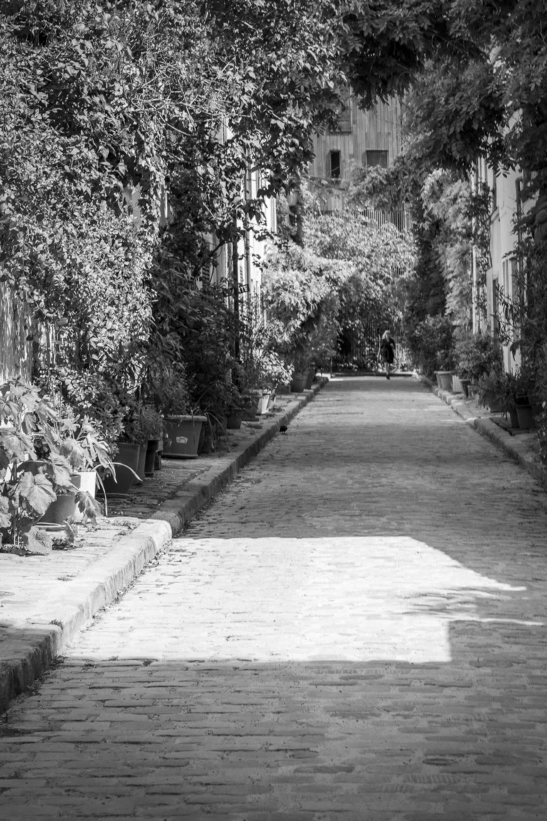 Thierry_Didot_01