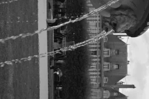 Cette photographie en noir et blanc montre un **sujet flou et mystérieux** derrière une barrière de fil barbelé, partiellement visible en haut de l'image. La **composition** oppose netteté et flou, créant un contraste intrigant. Le **cadrage** est serré sur le premier plan, avec une perspective qui guide vers un bâtiment reflété dans l’eau en arrière-plan.La **lumière** est douce, avec des contrastes marqués, accentuant les ombres et les textures. Les **couleurs dominantes** sont les nuances de gris, renforçant l’ambiance dramatique. Le **style** est réaliste et légèrement onirique, évoquant une **ambiance énigmatique et mélancolique**.