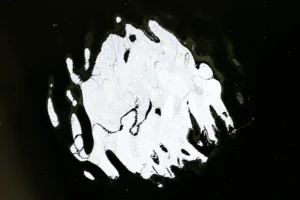 Cette photographie montre une empreinte de main blanche et partiellement effacée sur un fond noir.Le **sujet principal** est cette empreinte, dont les contours sont flous et irréguliers. La **composition** est simple et centrée, avec un **cadrage serré** qui isole l'empreinte. La **lumière** semble artificielle, contrastée, mettant en valeur les zones claires sur un arrière-plan sombre.Les **couleurs dominantes** sont le blanc et le noir, créant un effet dramatique. Le **style** est épuré et minimaliste, évoquant une ambiance **mystérieuse, voire inquiétante**, renforcée par le flou et l'aspect fantomatique de l'empreinte.