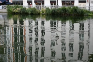 Cette photographie met en scène une scène de réflexion dans l’eau. Le **sujet principal** est la **réverbération des bâtiments et des arbres** sur une surface aquatique calme. La **composition** repose sur une symétrie presque parfaite entre le reflet et le réel. Le **cadrage** est serré, centré sur l’eau et ses reflets, avec un arrière-plan flou.La **lumière** semble douce et naturelle, probablement en journée. Les **couleurs dominantes** sont des teintes neutres et bleutées, avec des touches de vert et de gris. Le **style** est épuré et contemplatif, évoquant une **ambiance paisible et presque onirique**, comme une invitation à l’observation et à la méditation.