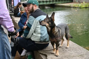 Cette photographie met en scène un homme assis avec son chien, sujet principal. Le cadrage est serré, centré sur eux deux, avec un arrière-plan flou montrant un plan d’eau et des bâtiments.La lumière est naturelle, douce et légèrement tamisée, créant une ambiance paisible. Les couleurs dominantes sont les tons neutres (gris, bleu) et les touches de vert et de marron. Le style est documentaire et spontané, capturant un moment du quotidien. L’ambiance est calme et détendue, évoquant une promenade urbaine tranquille.