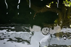 Cette photographie capture une flaque d’eau reflétant des éléments environnants, probablement des feuilles et du ciel. Le **sujet principal** est la surface liquide, déformée par des gouttes et des reflets inversés.La **composition** est simple et épurée, avec un **cadrage serré** sur la flaque. La **lumière**, naturelle et tamisée, crée des contrastes doux et des reflets argentés. Les **couleurs dominantes** sont des teintes vertes et grises, adoucies par les reflets bleutés de l’eau.Le **style** est réaliste et minimaliste, évoquant une **ambiance** calme et presque onirique, comme un instant suspendu dans la nature.