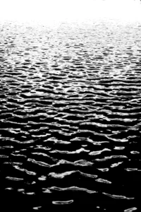 Cette photographie met en scène des vagues sur une surface aquatique, probablement la mer ou un lac. Le sujet principal est la texture hypnotique des ondulations de l’eau.La composition est épurée, centrée sur les motifs répétitifs des vagues. Le cadrage est serré et horizontal, captant uniquement la surface liquide. La lumière, bien que non visible directement, semble naturelle et diffuse, créant des contrastes nets en noir et blanc.Les couleurs dominantes sont les tons de gris, renforçant l’aspect monochrome et minimaliste. Le style est épuré et abstrait, évoquant une ambiance calme et contemplative, presque méditative.