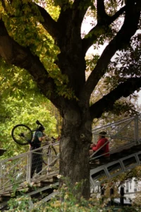 Cette photographie met en scène deux personnes près d’un grand arbre aux feuilles automnales. Le sujet principal semble être le cycliste en haut des escaliers, bien que les deux individus soient visibles.La composition joue sur les lignes verticales des escaliers et du tronc de l’arbre, encadrant la scène. Le cadrage est serré, mettant en valeur les détails des feuilles et des visages.La lumière est douce et naturelle, créant des ombres légères. Les couleurs dominantes sont les verts et jaunes des feuilles, avec des touches de rouge et de brun.Le style est documentaire et naturel, évoquant une ambiance paisible et chaleureuse, typique d’une balade en automne.