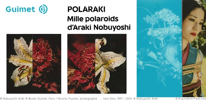 POLARAKI · Mille polaroids d’Araki Nobuyoshi
