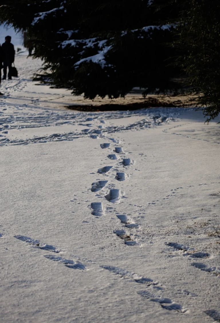 07012026-BI5A3352
