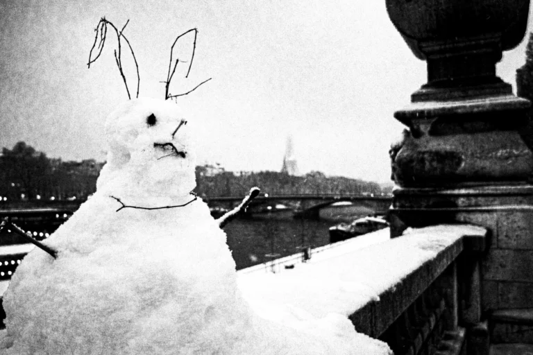2026-01637