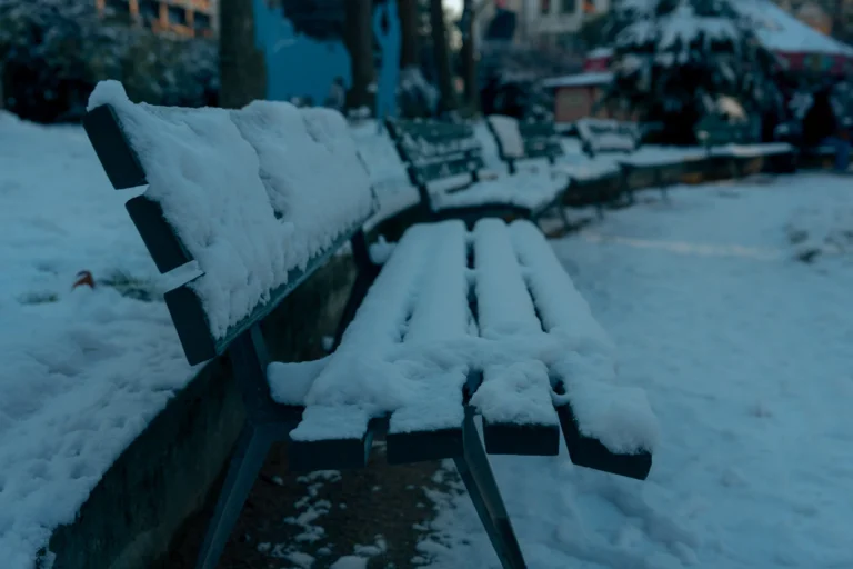 Neige-Paris-Don-02