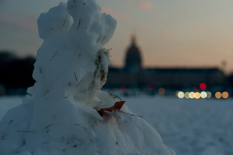 Neige-Paris-Don-21