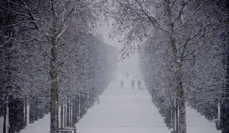 neige12