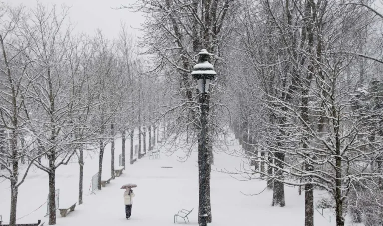 neige4