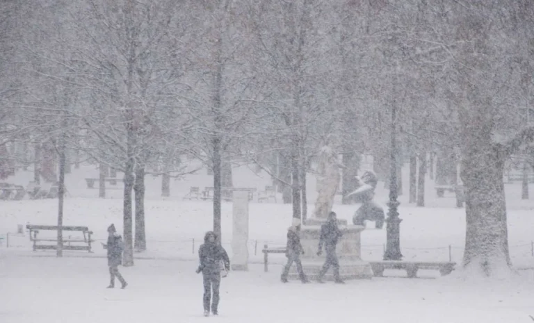 neige6
