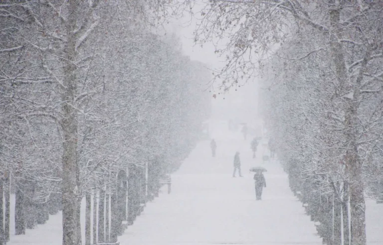 neige7