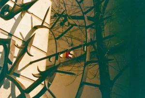 Cette photographie met en scène un arbre nu dont les branches entrelacées forment un réseau complexe. Le sujet principal est une petite voiture rouge, partiellement visible, encadrée par les branches.Le cadrage est serré, centré sur les branches et la voiture, créant une composition graphique et géométrique. La lumière est douce et tamisée, donnant une ambiance mystérieuse et légèrement mélancolique. Les couleurs dominantes sont les tons sépia et bruns des branches, contrastant avec le rouge vif de la voiture.Le style est artistique et poétique, évoquant une atmosphère onirique et contemplative.