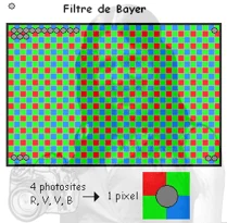 bayer2