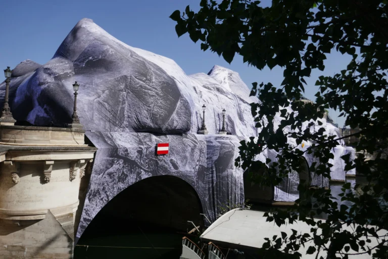 Sous-la-canopee