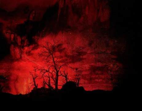 A Lost Place : Aletheia Casey évoque le traumatisme des feux australiens