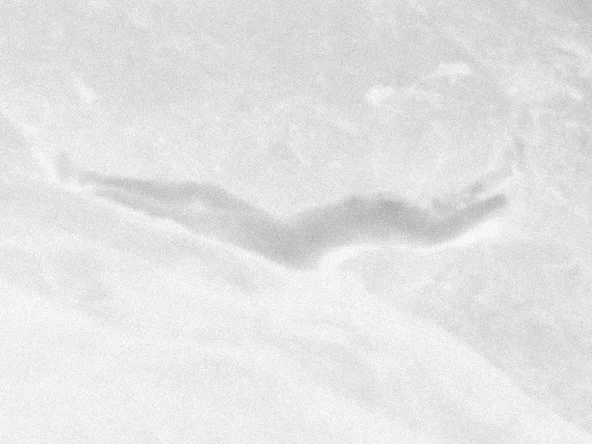 Une femme nue allongée