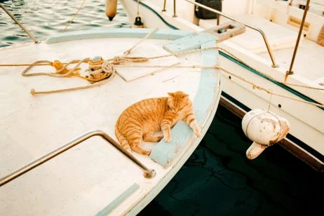 Vacances d'été : 17 séries photographiques qui vous feront voyager