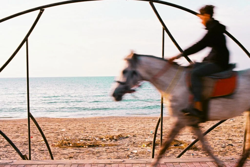 Cheval sur la plage