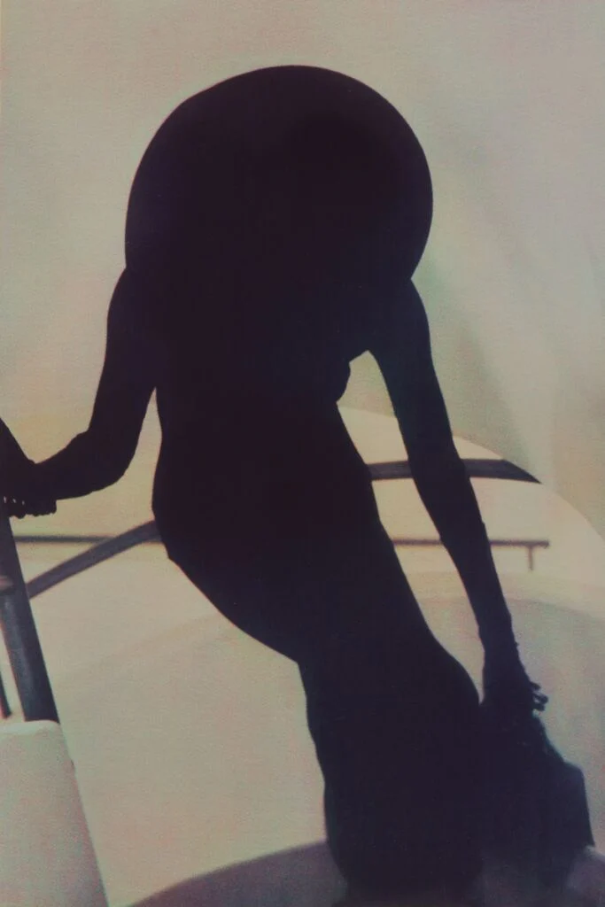 Lillian Bassman et Sheila Metzner, deux avant-gardes de la photographie de mode