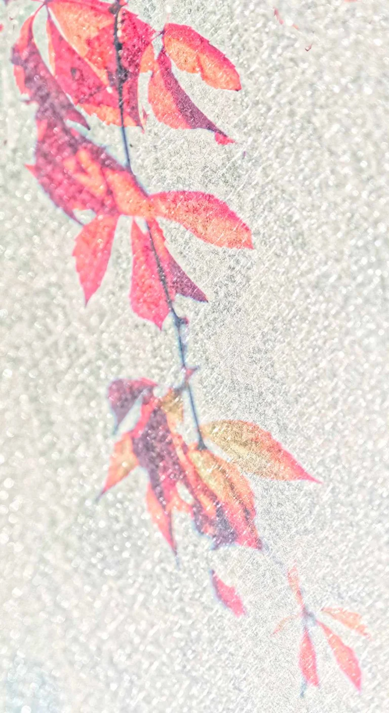 rouge-2