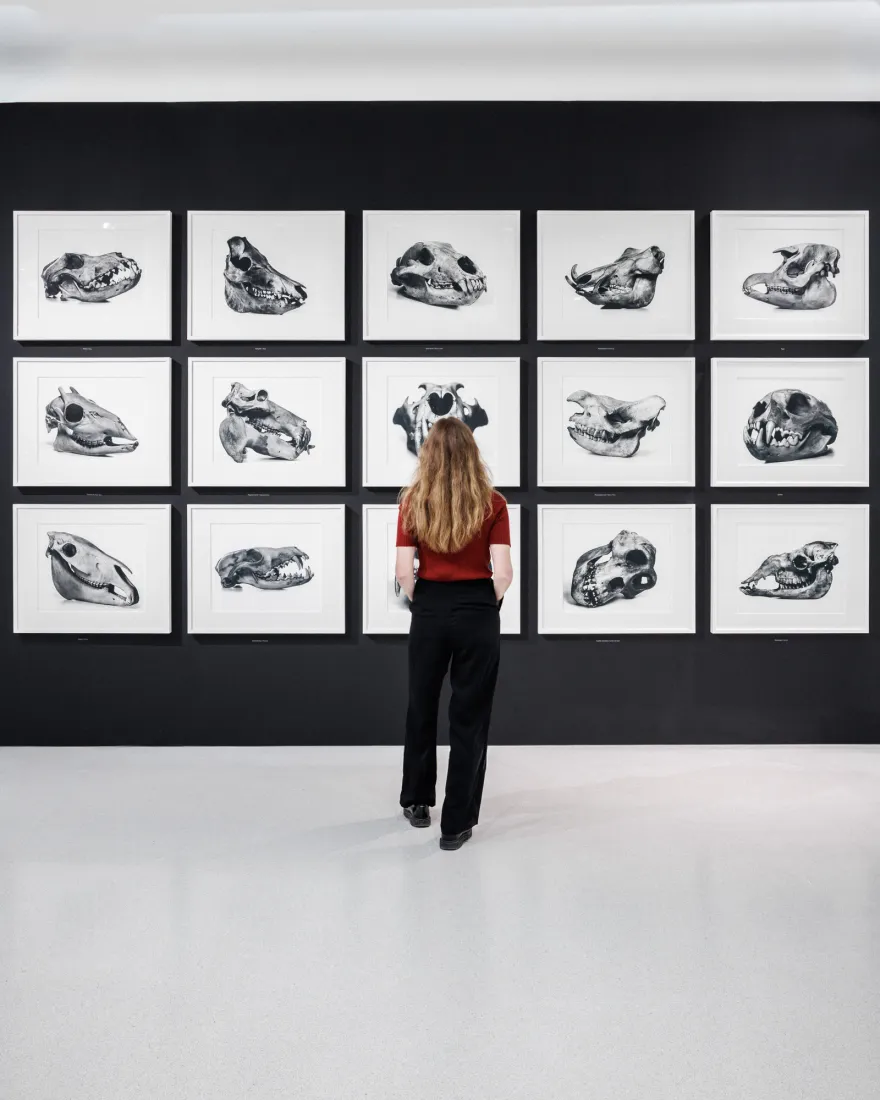 Remember Me : la photographie, mémoire du monde