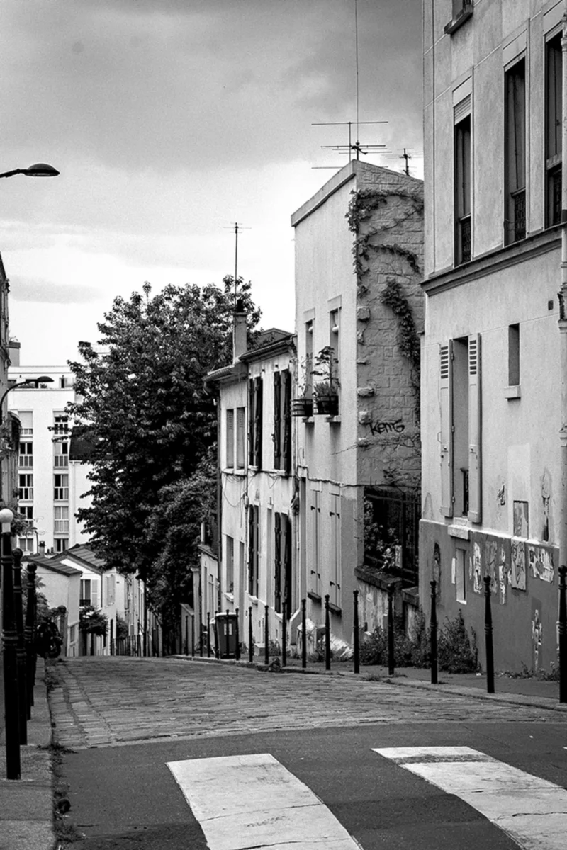 Thierry · 26/05/2024 · 2560 x 3840 Cette photographie en noir et blanc capture une rue urbaine étroite et déserte. Le sujet principal est un immeuble aux façades vieillissantes, marqué par des tags et une végétation envahissante. La composition met en valeur les bâtiments de chaque côté de la rue, créant une perspective convergente vers l’horizon.Le cadrage est serré, centré sur un passage piéton avec des bandes blanches. La lumière est douce, sans contraste marqué, renforçant une ambiance mélancolique et calme. Les tons de gris dominent, accentuant le côté nostalgique et le charme désuet du lieu. Le style rappelle le photojournalisme documentaire.