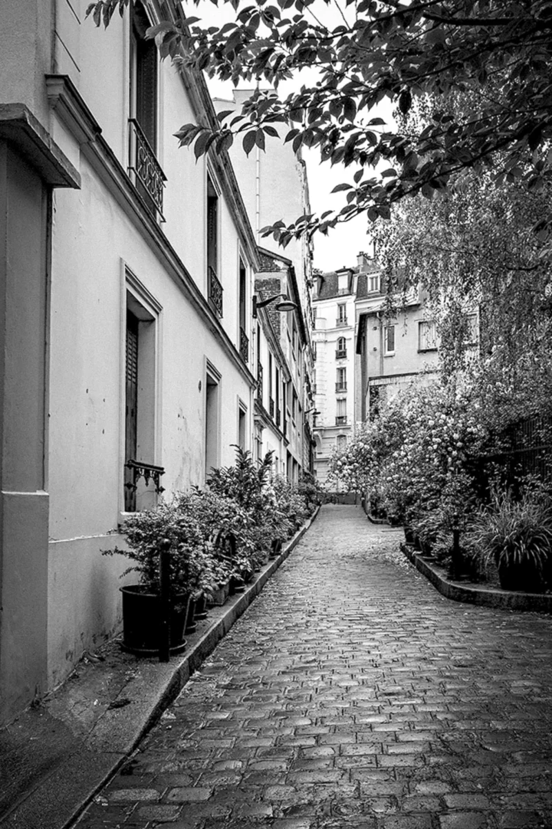 Thierry · 07/05/2023 · 2560 x 3840 Cette photographie en noir et blanc capture une **ruelle étroite et pavée**, sujet principal. La **composition** est symétrique, encadrée par des bâtiments anciens et des haies végétales.Le **cadrage** est serré, guidant le regard vers le lointain. La **lumière**, douce et naturelle, crée des contrastes entre ombres et clartés, accentuant les textures des murs et des pavés.Les **couleurs dominantes** sont les nuances de gris, renforçant l’aspect vintage. Le **style** est documentaire et esthétique, évoquant une **ambiance calme et intemporelle**, presque mélancolique, typique des quartiers historiques.