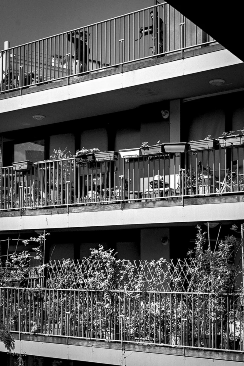 Thierry · 06/06/2024 · 2560 x 3840 Cette photographie en noir et blanc montre des balcons superposés d’un immeuble. Le sujet principal est une prolifération de plantes grimpantes, envahissant les garde-corps métalliques.La composition est symétrique et répétitive, avec une perspective légèrement descendante. Le cadrage serré met en valeur les balcons et leur végétation dense. La lumière, douce et diffuse, accentue les contrastes sans ombres marquées.Les tons dominants sont les gris et les noirs, adoucis par les touches claires des plantes. Le style est documentaire et esthétique, évoquant une ambiance à la fois organique et urbaine, presque poétique.