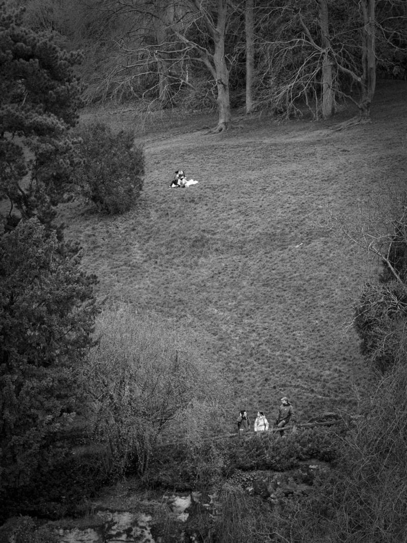 Thierry · 24/02/2024 · 2880 x 3840 Cette photographie en noir et blanc capture une scène pastorale. Le sujet principal semble être un groupe de personnes, probablement des bergers avec leurs chiens et moutons, dans un paysage naturel.La composition montre une pente herbeuse avec des arbres clairsemés en arrière-plan. Le cadrage est large, incluant une partie de la forêt et un petit ruisseau en bas. La lumière douce, probablement naturelle, crée des contrastes subtils. Les couleurs dominantes, bien que monochromes, varient entre les tons clairs de l’herbe et les ombres plus foncées.Le style est documentaire et intemporel, évoquant une ambiance calme et sereine, presque nostalgique.