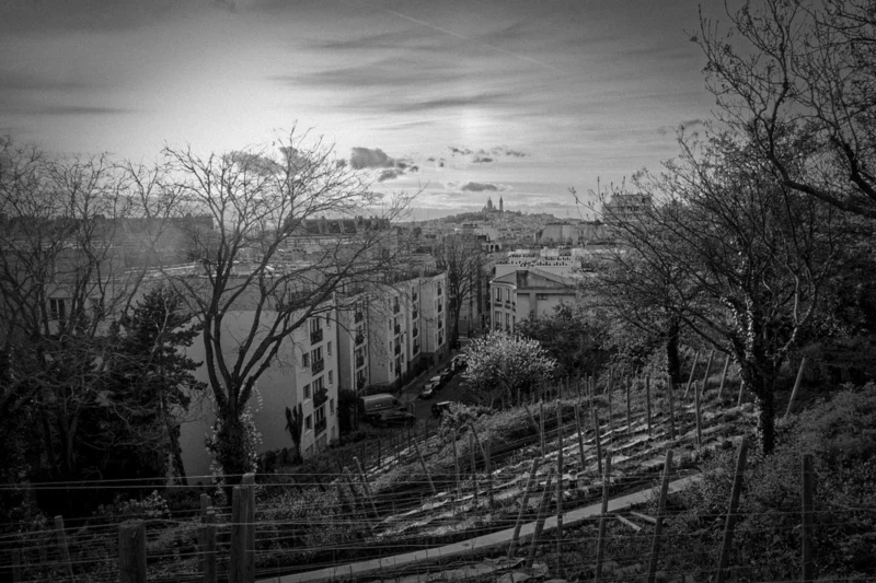 Thierry · 03/04/2024 · 3840 x 2560 Cette photographie en noir et blanc capture une ville en contrebas depuis une hauteur. Le sujet principal est une série de bâtiments anciens et une voie ferrée en pente, partiellement recouverte de végétation.La composition repose sur des lignes diagonales, créées par les rails et les escaliers, menant vers les constructions. Le cadrage inclut des arbres dénudés à l'avant-plan, ajoutant une dimension dramatique.La lumière est douce et diffuse, typique d'un jour nuageux ou du matin/soir. Les tons gris dominent, renforçant une ambiance mélancolique et nostalgique, évoquant un style documentaire ou artistique intemporel.