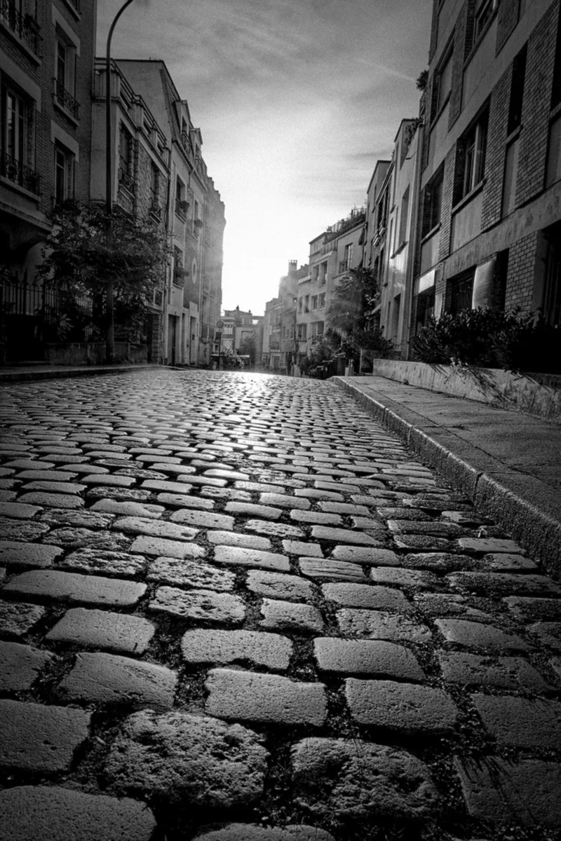 Thierry · 03/04/2024 · 2560 x 3840 Cette photographie en noir et blanc capture une rue pavée étroite et légèrement inclinée, bordée de bâtiments anciens. Le sujet principal est l’architecture urbaine et l’allée déserte qui guide le regard vers l’horizon.La composition est symétrique, avec des bâtiments de chaque côté convergeant vers un point de fuite. Le cadrage est serré, accentuant la profondeur et la perspective. La lumière est douce, créant des contrastes subtils entre ombres et clartés. Les tons dominants sont les gris et noirs, renforçant une ambiance mélancolique et intemporelle. Le style rappelle le photojournalisme classique, évoquant une atmosphère à la fois calme et nostalgique.