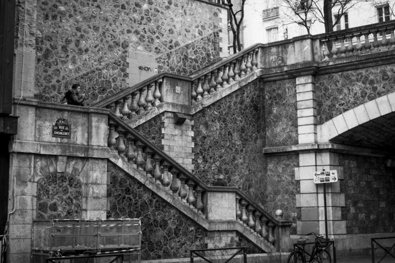 Thierry · 27/12/2023 · 3840 x 2561 Cette photographie en noir et blanc met en scène un **escalier en pierre** bordé de murs couverts de mousse ou de lierre, intégrant une balustrade élégante. Le **sujet principal** est cet escalier, encadré par des **architectures anciennes** et des balcons.La **composition** est symétrique et dynamique, guidant le regard vers le haut. Le **cadrage** est serré, excluant les éléments superflus. La **lumière** semble naturelle, tamisée, créant des contrastes doux.Les **couleurs dominantes** sont les nuances de gris, accentuées par des touches de blanc et noir, renforçant une **ambiance mystérieuse et intemporelle**, typique d’un style photographique classique et mélancolique.