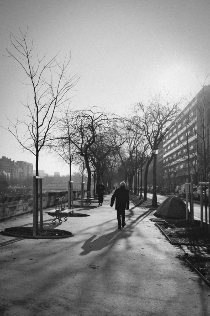Thierry · 04/07/2025 · 2560 x 3840 Cette photographie en noir et blanc met en scène un **sujet principal anonyme**, une personne marchant seule sur un chemin bordé d’arbres dénudés. La **composition** est symétrique, avec une allée centrale menant vers l’horizon.Le **cadrage** est serré, guidant le regard vers la silhouette solitaire. La **lumière** est douce et diffuse, typique d’un jour couvert, créant des contrastes subtils. Les **couleurs dominantes** sont les nuances de gris, renforçant une atmosphère mélancolique.Le **style** est épuré et contemplatif, évoquant une **ambiance calme et introspective**, presque nostalgique.