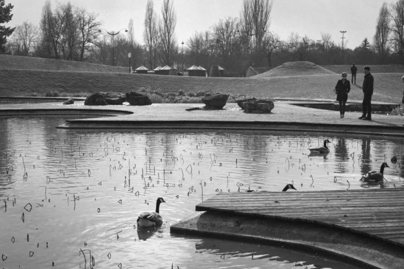 Thierry · 04/07/2025 · 3840 x 2560 Cette photographie en noir et blanc met en scène un **canard** nageant près d’une berge, sujet principal. La **composition** joue sur les lignes horizontales de l’eau et des berges, avec des éléments naturels comme les rochers et les arbres.Le **cadrage** est large, incluant une scène paisible avec deux silhouettes humaines en arrière-plan. La **lumière** est douce, probablement naturelle, créant des contrastes subtils. Les **couleurs dominantes** sont les nuances de gris, renforçant une ambiance calme et mélancolique.Le **style** est documentaire et épuré, évoquant une **ambiance** sereine et contemplative, presque intemporelle.