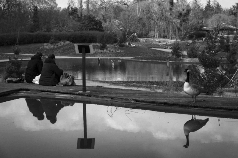 Thierry · 04/07/2025 · 3840 x 2560 Cette photographie en noir et blanc capture une scène paisible autour d'une piscine.Le **sujet principal** semble être une personne assise près de l’eau, reflétée dans l’eau calme. La **composition** joue sur les symétries et les reflets, créant une ambiance contemplative. Le **cadrage** est serré sur la piscine et son environnement immédiat, avec une perspective légèrement basse.La **lumière** est douce, probablement naturelle, apportant des contrastes subtils. Les **couleurs dominantes** sont les nuances de gris, renforçant l’aspect intemporel et mélancolique.Le **style** est sobre et artistique, évoquant une **ambiance** calme et presque nostalgique.