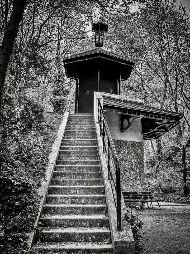 Thierry · 04/07/2025 · 2880 x 3840 Cette photographie en noir et blanc met en scène un petit pavillon en bois situé au sommet d’un escalier en bois. Le sujet principal est ce pavillon, encadré par une végétation dense.La composition est symétrique, avec l’escalier comme élément central menant vers le pavillon. Le cadrage est serré, mettant en valeur les détails architecturaux et la nature environnante. La lumière, douce et naturelle, crée des contrastes entre ombres et clartés, accentuant l’aspect mystérieux et paisible.L’ambiance est calme et contemplative, renforcée par le style esthétique vintage du noir et blanc.