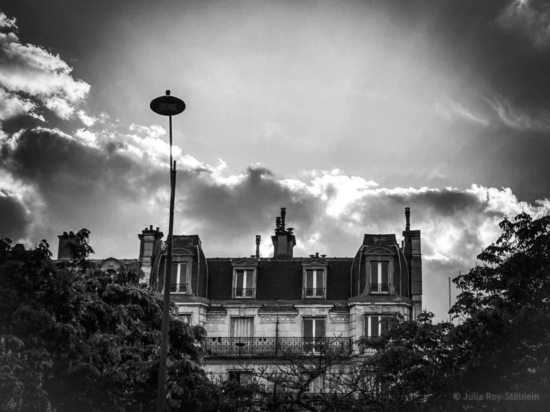Thierry · 04/07/2025 · 3840 x 2880 Cette photographie met en scène un **immeuble élégant** aux allures classiques, probablement un hôtel particulier ou une demeure ancienne. La **composition** est équilibrée, avec l'arbre en premier plan encadrant la structure.Le **cadrage** est serré, centré sur le bâtiment, avec une **lumière** contrastée, typique d’un ciel nuageux et dramatique. Les **couleurs dominantes** sont en noir et blanc, accentuant les jeux d’ombres et de lumières.Le **style** est photographique classique, presque pictural, renforçant une **ambiance** mystérieuse et intemporelle, évoquant mélancolie et grandeur.