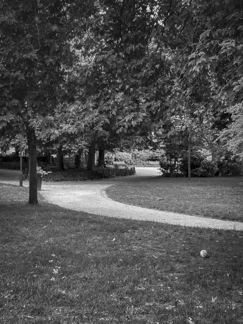 Thierry · 04/07/2025 · 2880 x 3840 Cette photographie en noir et blanc capture une route sinueuse bordée d’arbres, formant une allée ombragée. Le sujet principal est la courbe du chemin, menant vers un point de fuite où un véhicule est partiellement visible. La composition repose sur des lignes courbes et une perspective profonde, encadrée par les troncs et le feuillage dense.La lumière douce, probablement naturelle, crée des contrastes entre ombres et clartés, accentuant la texture des arbres. Les tons gris dominent, renforçant une ambiance calme et intemporelle. Le style est épuré et contemplatif, évoquant sérénité et solitude.