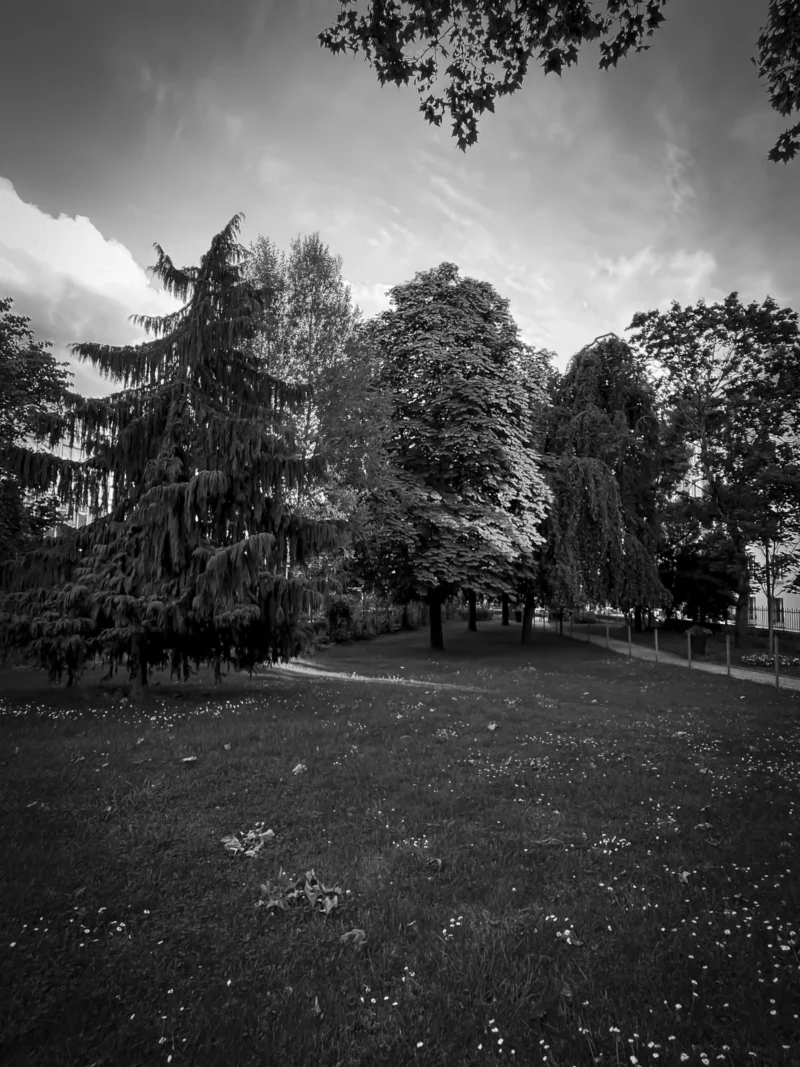 Thierry · 04/07/2025 · 2880 x 3840 Cette photographie en noir et blanc met en scène un **parc ou un jardin** comme sujet principal. La **composition** est simple, avec des arbres en arrière-plan et une pelouse en premier plan, légèrement désordonnée.Le **cadrage** est large, capturant une vue générale. La **lumière** est naturelle, douce et diffuse, créant des contrastes subtils. Les **couleurs dominantes** sont les nuances de gris, renforçant une ambiance nostalgique et intemporelle.Le style est **minimaliste et documentaire**, évoquant une **ambiance calme et mélancolique**, presque onirique.