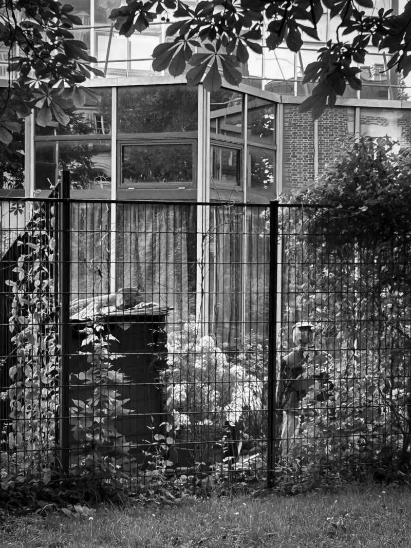 Thierry · 04/07/2025 · 2880 x 3840 Cette photographie en noir et blanc montre un **serre ou un enclos vitré** abritant des animaux, probablement des oiseaux ou des petits mammifères.La **composition** est simple et naturelle, avec des **barreaux métalliques** et une végétation environnante. Le **cadrage** est serré, mettant l’accent sur l’espace intérieur et ses occupants. La **lumière**, douce et tamisée, traverse les vitres, créant des contrastes subtils. Les **couleurs dominantes** sont les nuances de gris, renforçant une atmosphère nostalgique.Le **style** est documentaire, évoquant une scène ancienne. L’**ambiance** est calme et mystérieuse, mêlant nature et confinement.