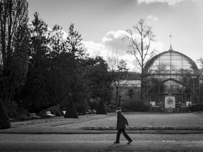 Thierry · 04/07/2025 · 3840 x 2880 Cette photographie en noir et blanc met en scène un homme marchant seul vers une grande serre en arrière-plan. La composition est équilibrée, avec un premier plan légèrement flou et un arrière-plan structuré par des arbres et des allées.Le cadrage est large, capturant une scène paisible et ouverte. La lumière douce, probablement naturelle, crée des contrastes subtils et adoucit les contours. Les couleurs dominantes, bien que monochromes, jouent sur les nuances de gris et de noir, renforçant l’ambiance mélancolique et sereine. Le style est documentaire et intemporel, évoquant une atmosphère calme et contemplative.
